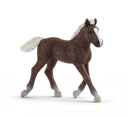 Schleich. Фигурка арт.13899 "Шварцвальдский жеребенок"