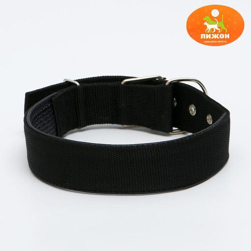 Ошейник Комфорт комбинированный, 60 х 4 см, ОШ 45-55 см, чёрный