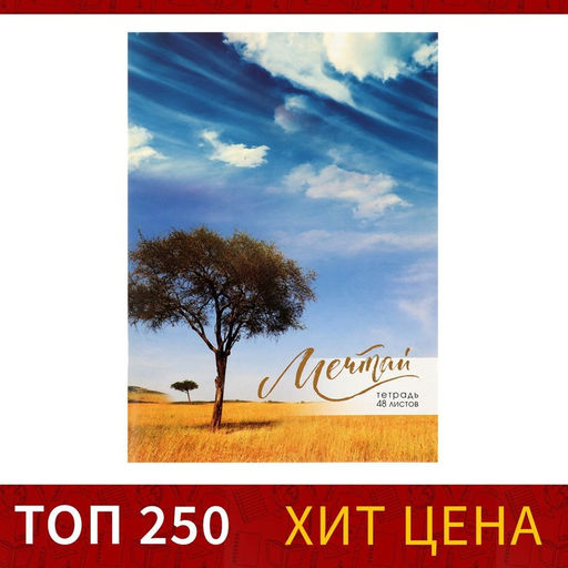 Тетрадь А4, 48 листов в клетку Calligrata Мечтай, обложка мелованный картон, блок офсет