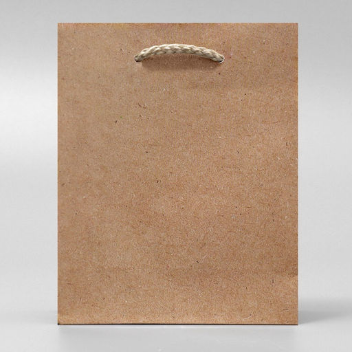 Цена за 2 шт. Пакет подарочный ламинированный, упаковка, «Крафт», S 12 х 15 х 5.5 см