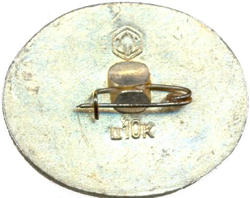 Значок Кижи  Памятник архитектуры  Дом Ошевнева 1876 года