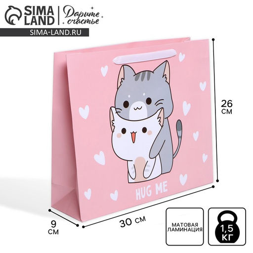 Цена за 2 шт. Пакет подарочный ламинированный, упаковка, «Киса», M 30×25.5×9 см