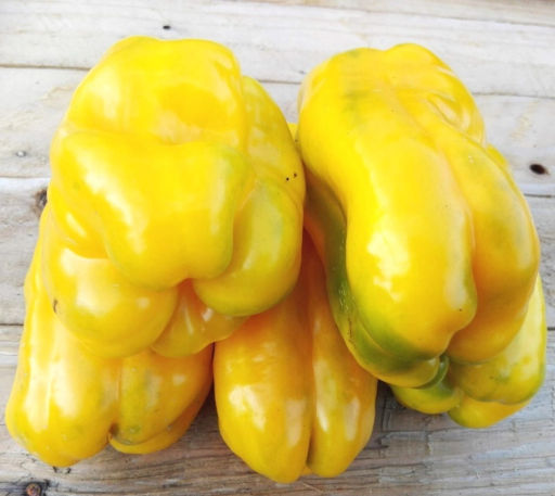 Новинка 2026! Гигантский Сладкий Перец Жёлтый Монстр — Yellow Monster Pepper