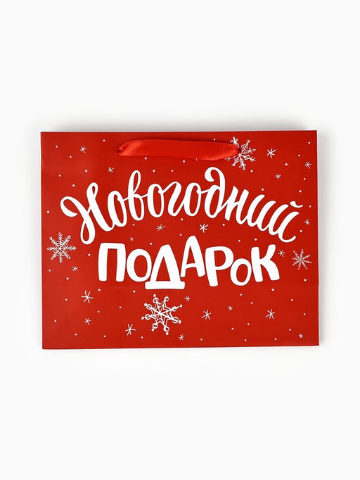 Цена за 2 шт. Пакет подарочный ламинированный «Новогодний подарок», MS 23×18×10 см