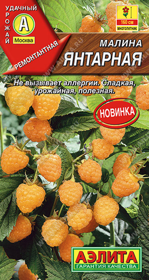 0586A Малина Янтарная 0,05гр