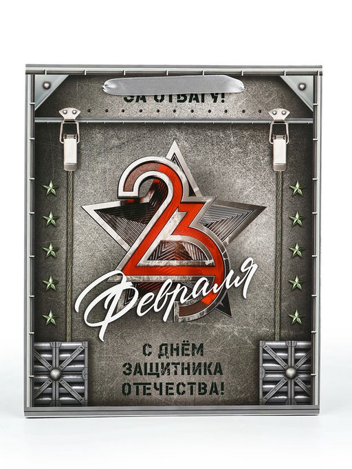 Цена за 2 шт. Пакет подарочный ламинированный 23 февраля, M 25.5?30?9 см