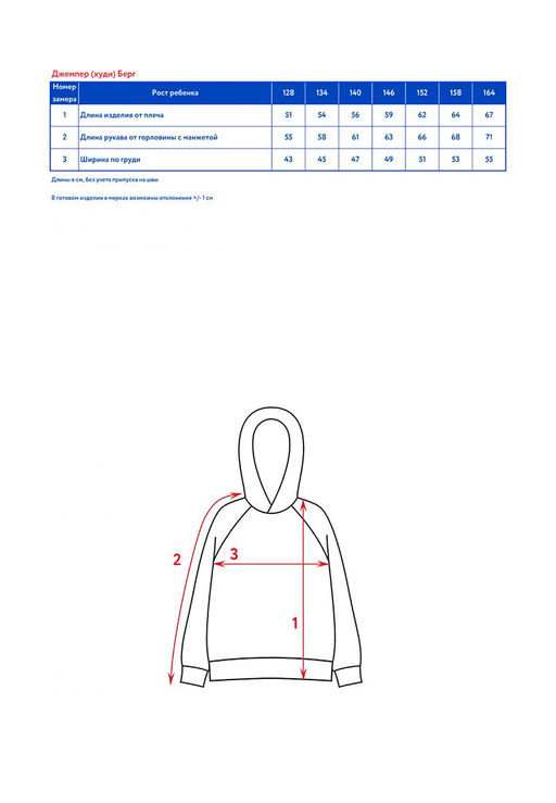 Джемпер (худи) с капюшоном д/мал. Берг - Oldos фото 6