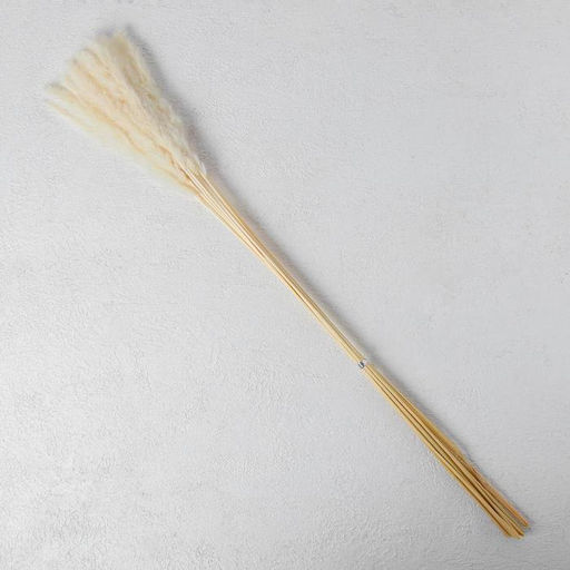 Сухоцвет «Камыш», набор 15 шт., бежевый