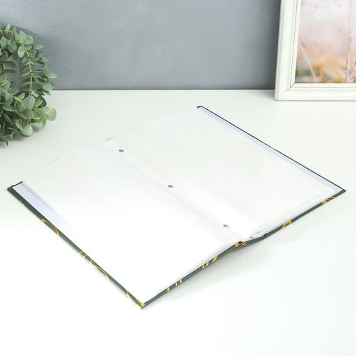 Фотоальбом на 300 фото 10?15 см Золотые растения, золото 33.5?17.5?5 см