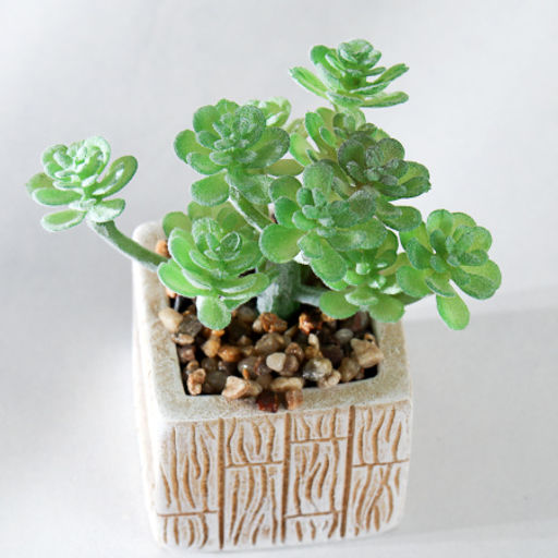 Цветочная композиция Кактус / WER-15 /уп 12/288/ микс - Галеонтрейд фото 15