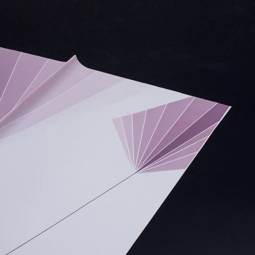 Цена за 20 шт. Пленка для цветов, 57 х 57 см - UPAK LAND фото 2