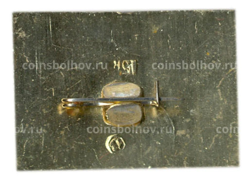 Значок Архангельское