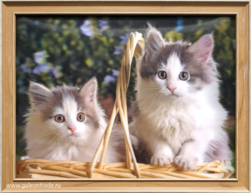 Картина 5D 30х40 124 Котята в лукошке / KS1912-1 / - Галеонтрейд фото 2
