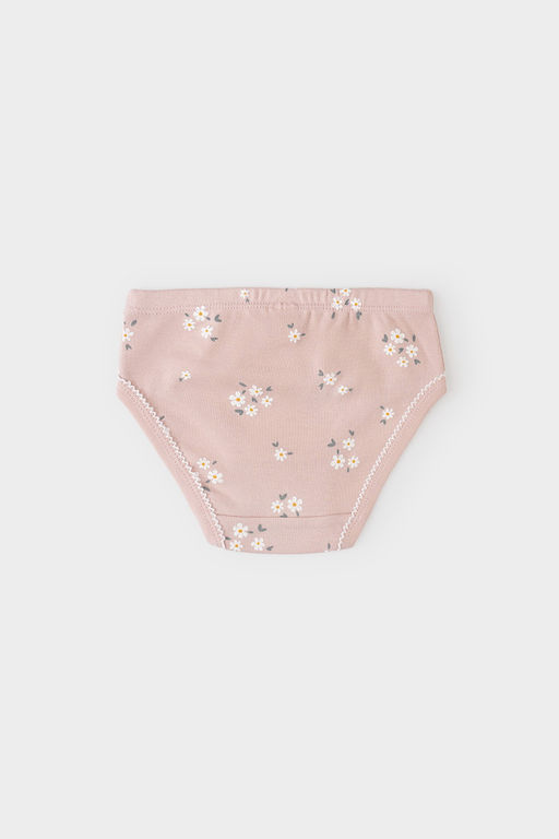 CROCKID, Трусы/ уп. Цвет: экрю, дымчатая роза, ромашковое поле