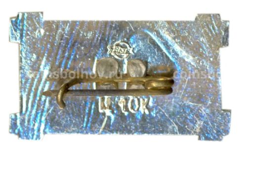 Значок город SAIESANA  музей