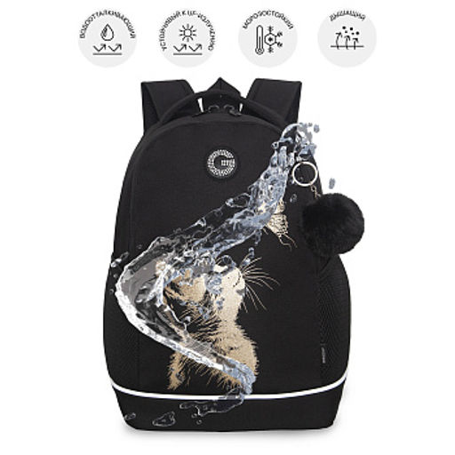 RG-663-3 Рюкзак школьный с обвесом - Grizzly фото 19