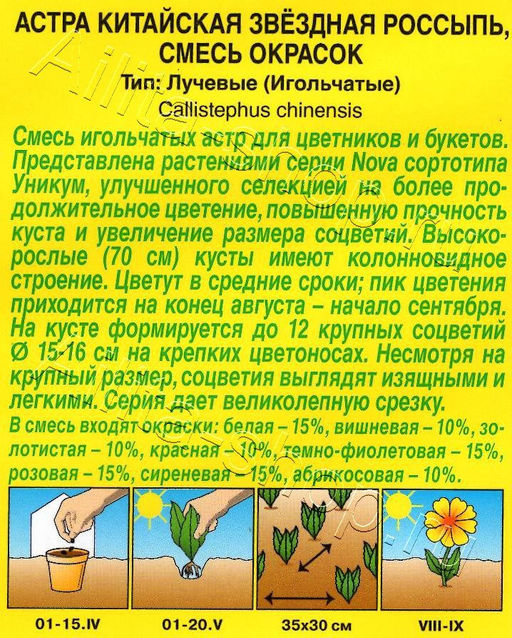 Астра Звездная россыпь, смесь 0,2г (Аэлита )