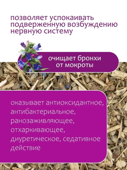 Синяк трава - Травы горного крыма фото 2