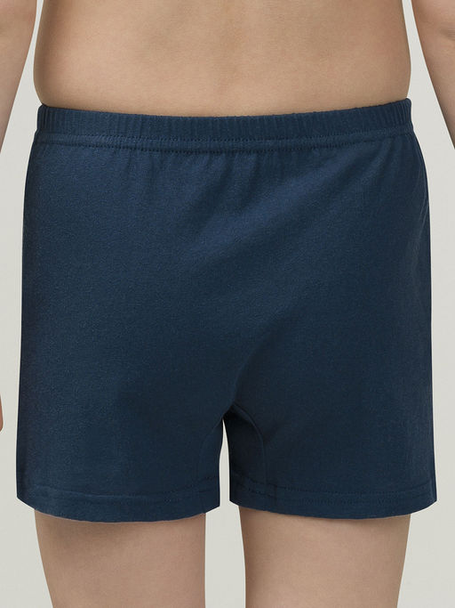 BUB3297(2шт. в упаковке) трусы для мальчиков - Pelican фото 2