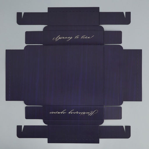 Цена за 5 шт. Коробка для конфет, кондитерская упаковка, 9 ячеек, «Настоящему мужчине», 14.5 х 14.5 х 3.5 см