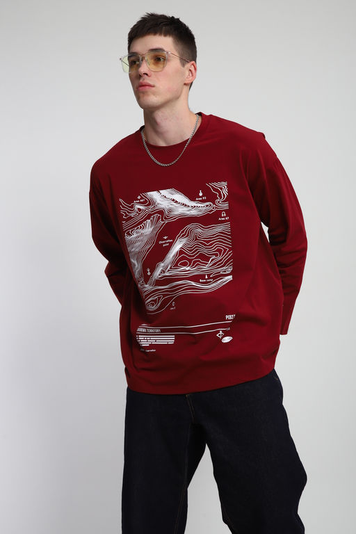 Лонгслив унисекс с принтом Карта ЛГ-01