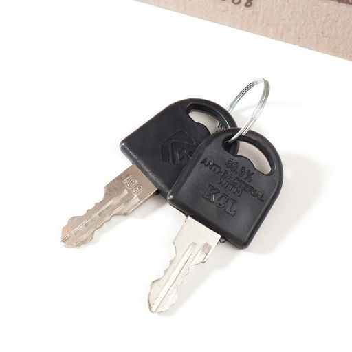 Шкатулка книга - сейф «Маленькие женщины. Луиза Мэй Олкотт», дерево, искусственная кожа, 21×13×5 см