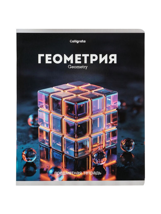 Тетради предметные 12 шт. «Черная серия», 48 листов, со справочной информацией