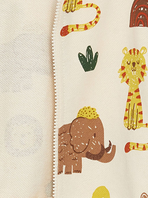 Kap??onlu Uzun Kollu Bask?l? Erkek Bebek 2li Tak?m - Waikiki фото 3