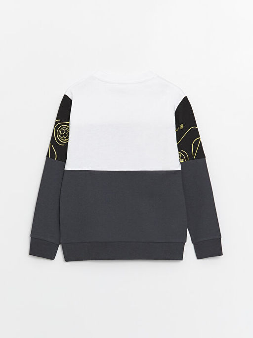 Bisiklet Yaka Bask?l? Uzun Kollu Erkek ?ocuk Sweatshirt - Waikiki фото 2