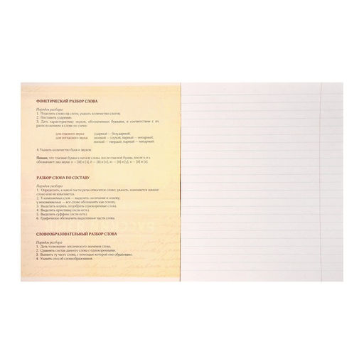 Тетрадь предметная Металл, 48 листов в линейку Русский язык со справочным материалом, обложка мелованный картон, блок №2, белизна 75% (серые листы) - Calligrata фото 2