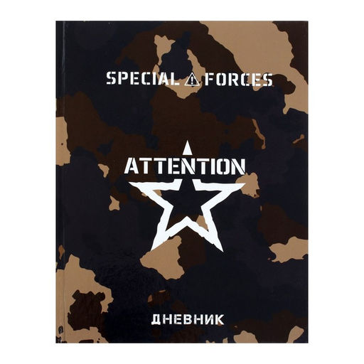 Дневник школьный для 1-11 классов, «Спецназ», твёрдая обложка 7БЦ, глянцевая ламинация, 40 листов