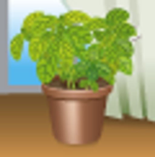 Базилик овощной Американский лимон - Аэлита фото 4