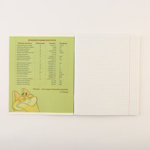 Тетради предметные, 48 л., А5, набор из 3 шт. «Персонажи»