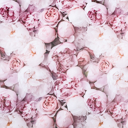 Цена за 10 шт. Бумага упаковочная, глянцевая Весенний букет пионов, 40?60 см