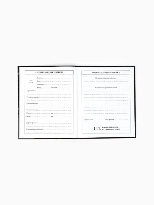Дневник школьный 1-4 класса, в твердой обложке, 48 л Бабочки - Artfox study фото 4