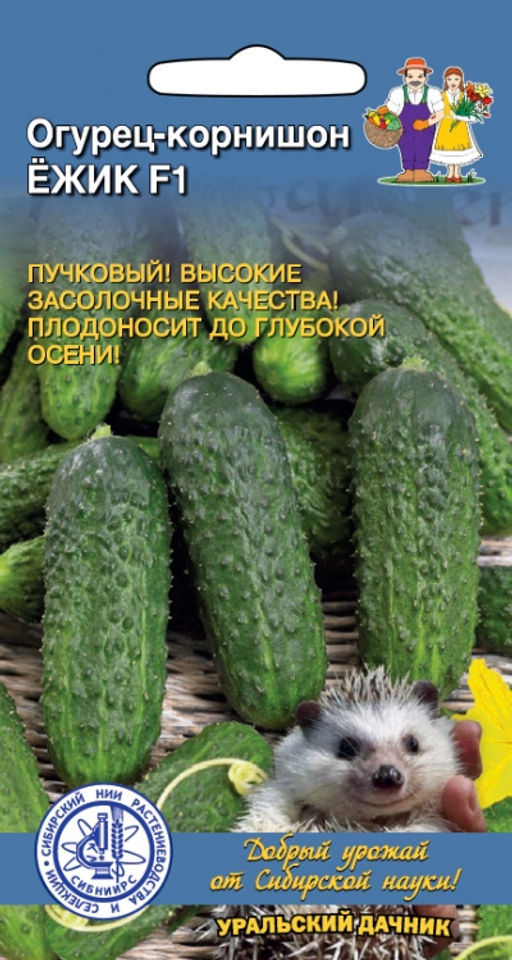 Огурец ЁЖИК F1 Сибирская селекция! Пучковый! Высокие засолочные качества! Плодоносит до глубокой осени!