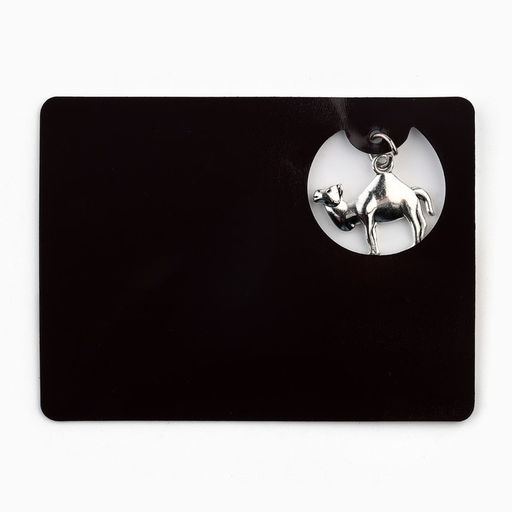 Цена за 2 шт. Магнит «Челябинск», 6×8 см