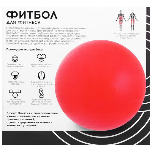 Фитбол ONLITOP, d=65 см, 900 г, антивзрыв, цвет чёрный  фото 5