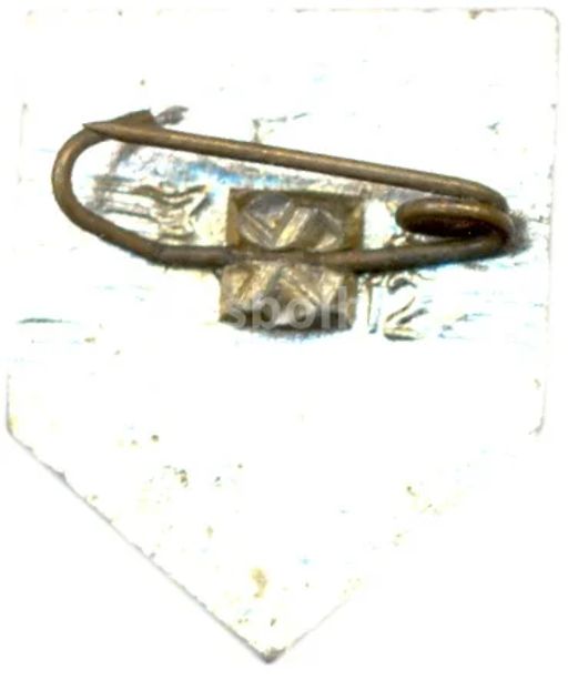 Значок Сосновка