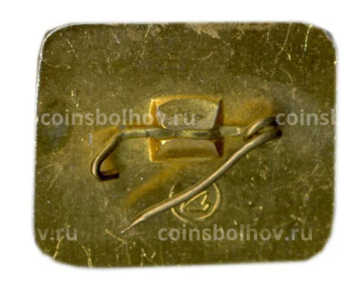 Значок Садко