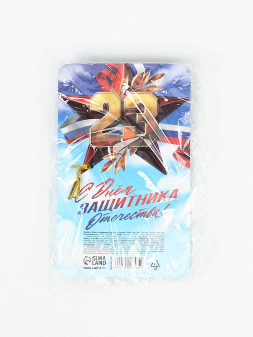 Подарочный набор, ручка шариковая, блок бумаги отрывной, 30 л. «23 Февраля. Синий»