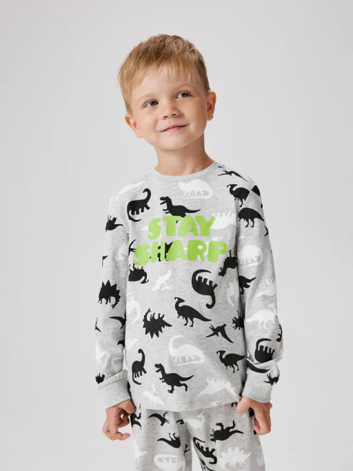 ACOOLA / Пижама детская для мальчиков Leskara серый фото 4