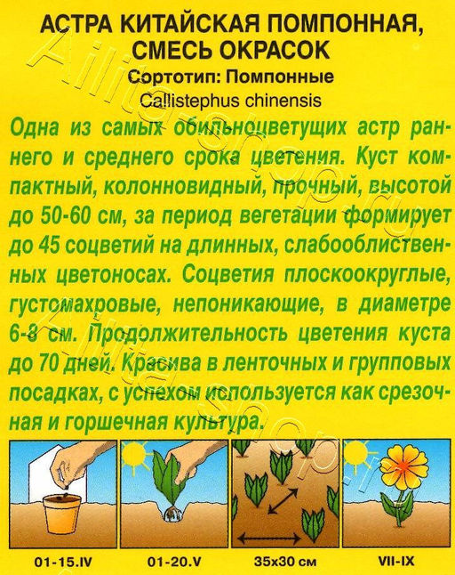 Астра Помпонная, смесь 0,2г (Аэлита )
