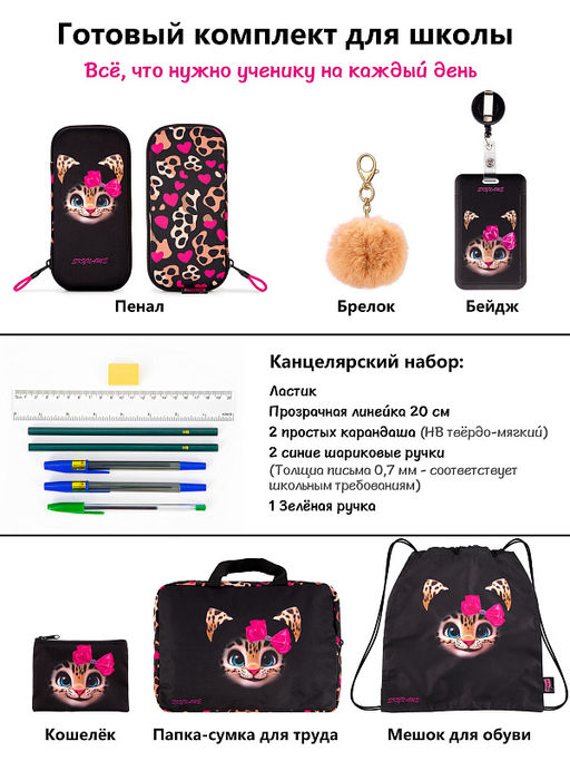Рюкзак SkyName set-R9-14 + мешок для обуви, папка, пенал, кошелек, бейдж, канц. наб, брелок , значки  фото 15