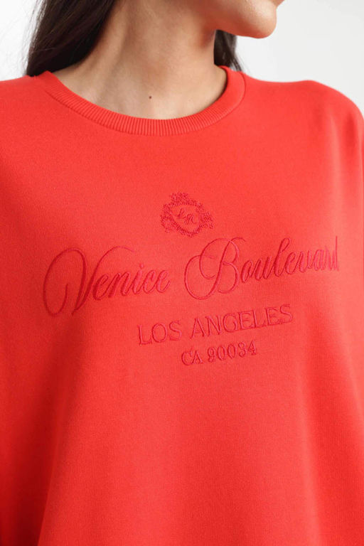 Тонкий свитшот Relax Fit с круглым вырезом - Defacto фото 5