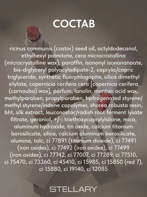 Stellary Помада для губ Устойчивая RICH NUDE тон 09 trendsetter  фото 7