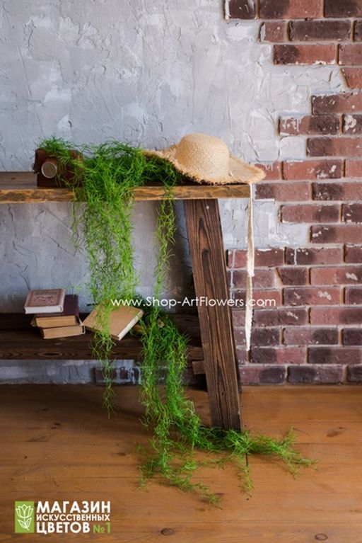 192 Тилландсия - Без тм фото 3