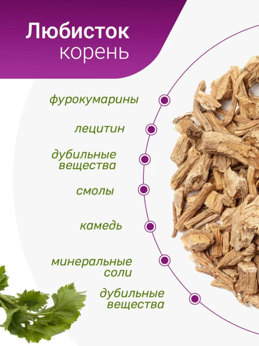 Любисток корень - Травы горного крыма фото 3