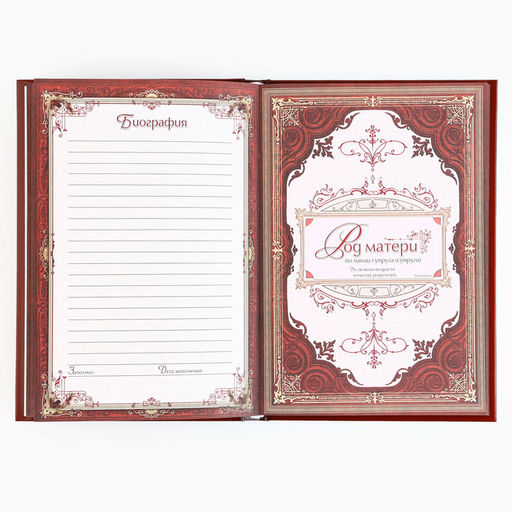 Родословная книга новогодняя «Дед Мороз» 17×2×23.7 см