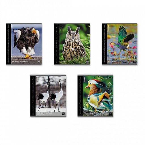 Цена за 5 шт. Тетрадь общая ученическая ErichKrause Энциклопедия, Красная книга России. Птицы, 48 листов, клетка, глянцевая ламинация_MIX-PACK  фото 3